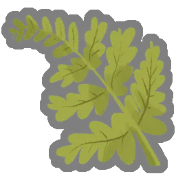 Delicate Frond