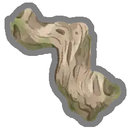Driftwood